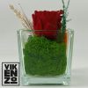 Rosa preservada roja en recipiente cuadrado de cristal