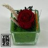 Rosa preservada roja en recipiente cuadrado de cristal