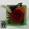 Rosa preservada roja en recipiente cuadrado de cristal